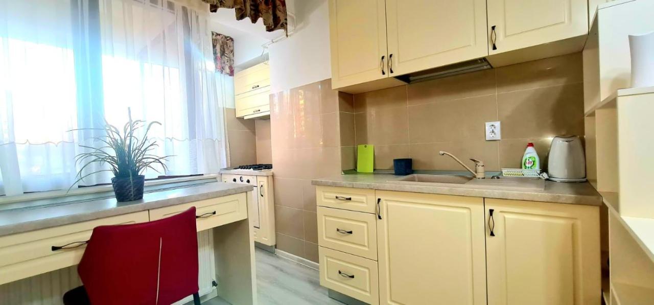 Elyse Comfortable Apartment Close To Palas Mall Iasi Luaran gambar