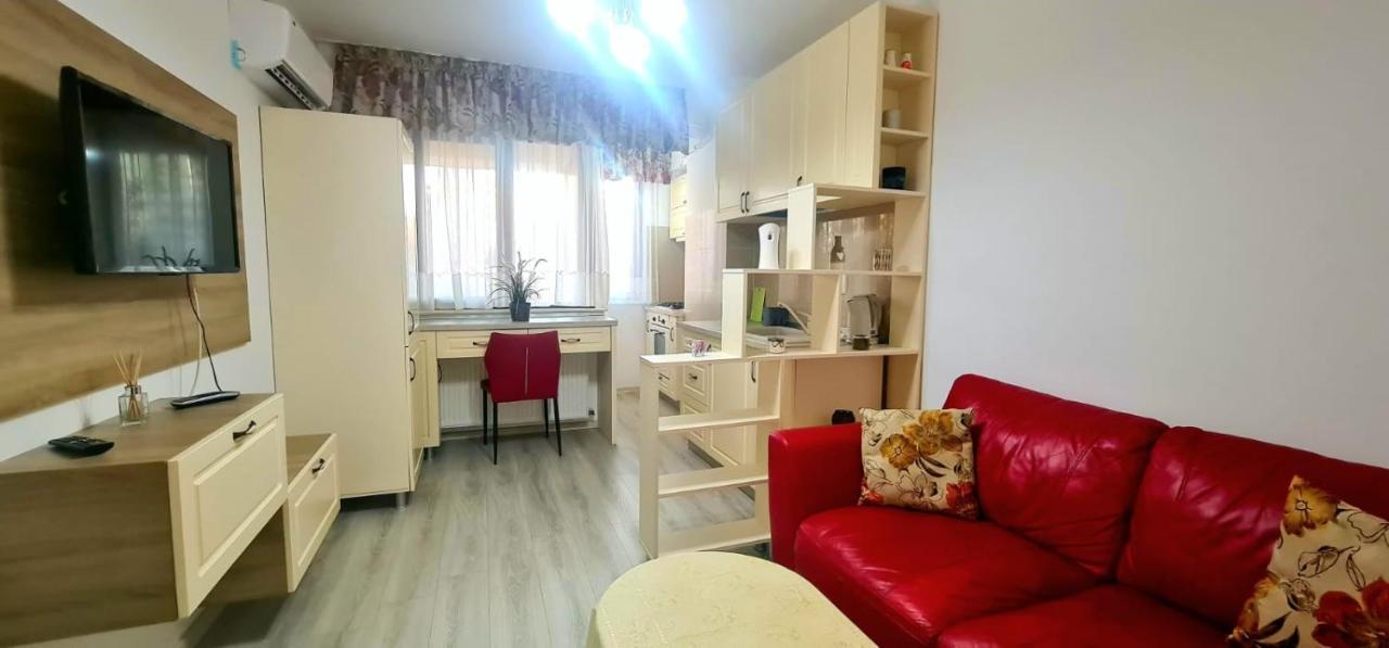 Elyse Comfortable Apartment Close To Palas Mall Iasi Luaran gambar